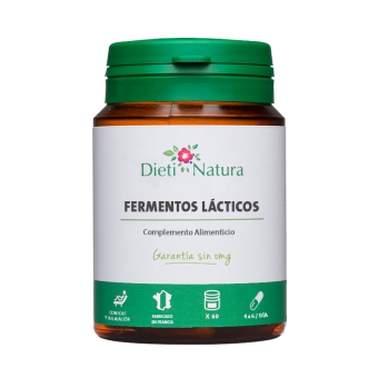 Fermentos lácticos